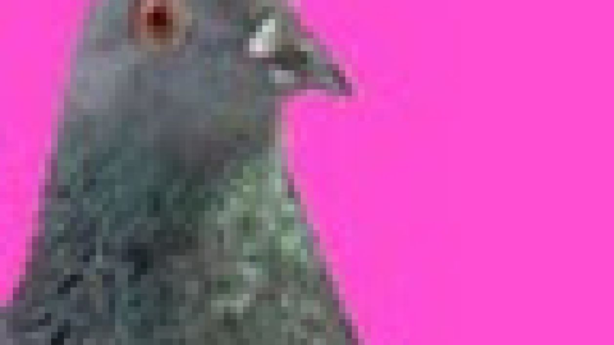 Rukashop's Avatar