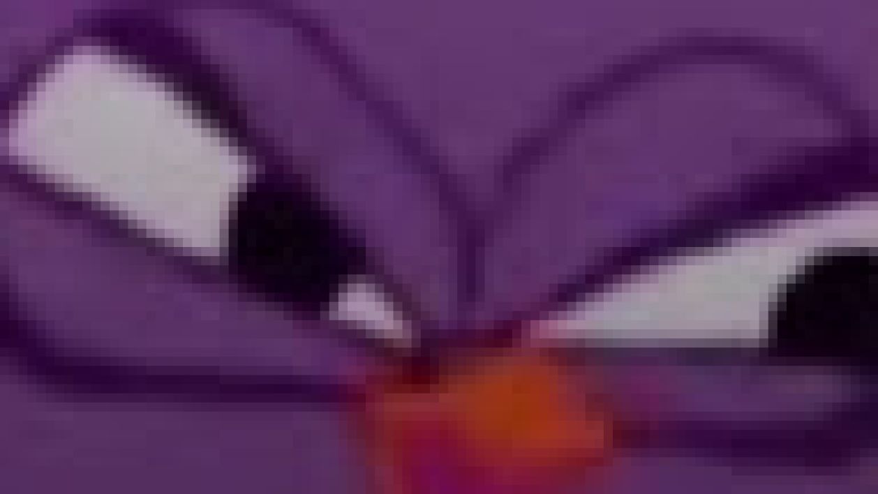 Connorrrr's Avatar