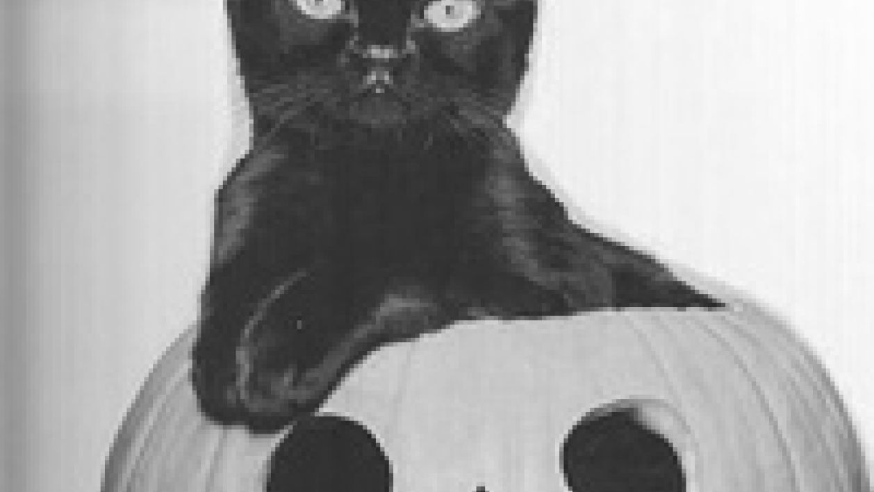 chiken's Avatar