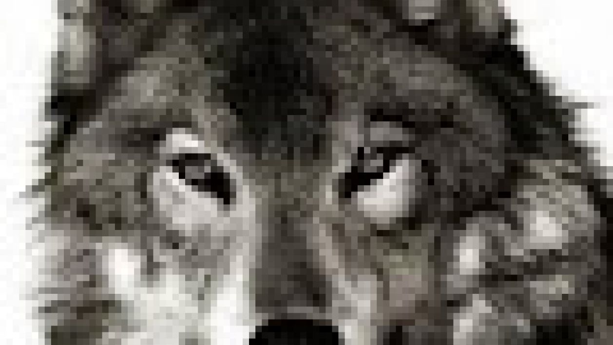 ODuHoKuu's Avatar