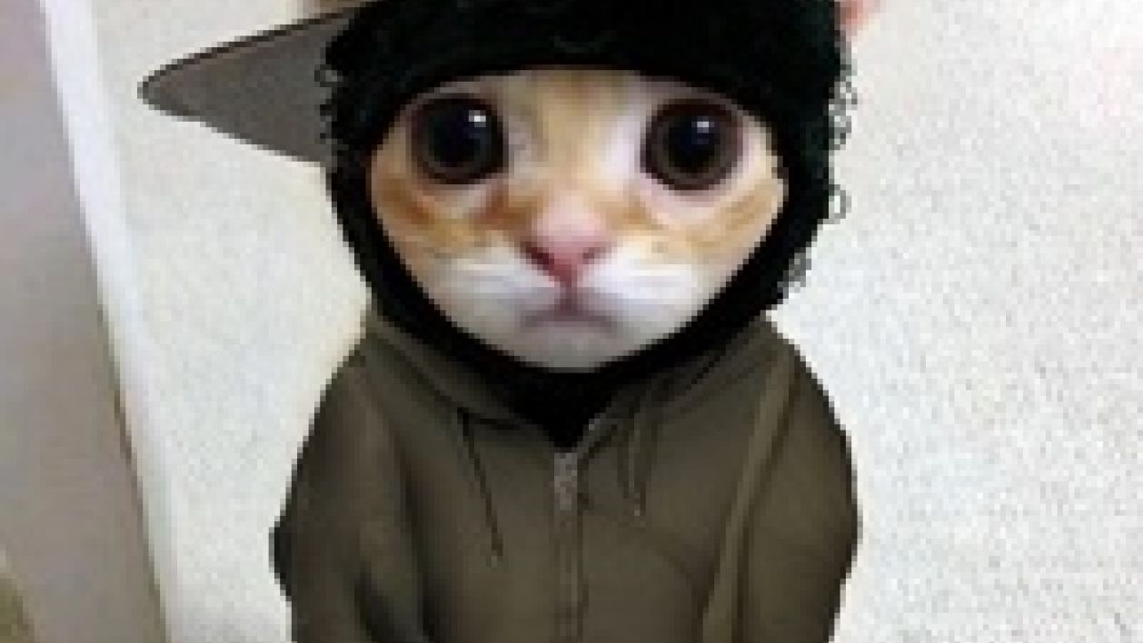 Matton's Avatar