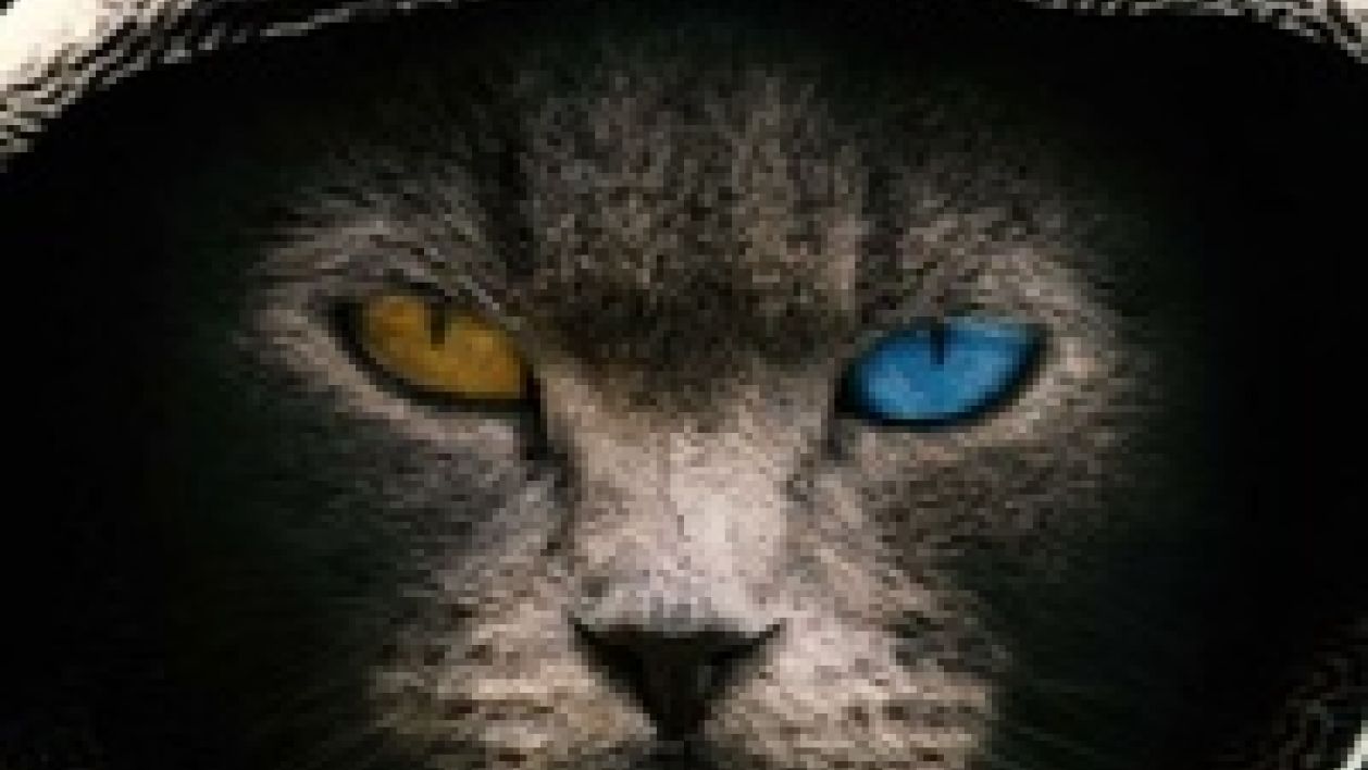 Ruslan Chuguniv's Avatar